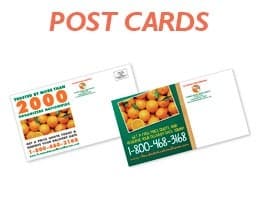 Mmpcfl-Citrus-Industry-Postcards