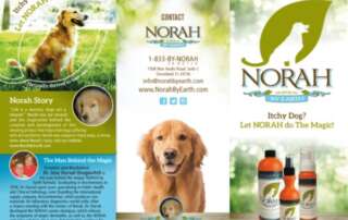 Norah Trifold | Branding And Printing Services | Mmp Longwood