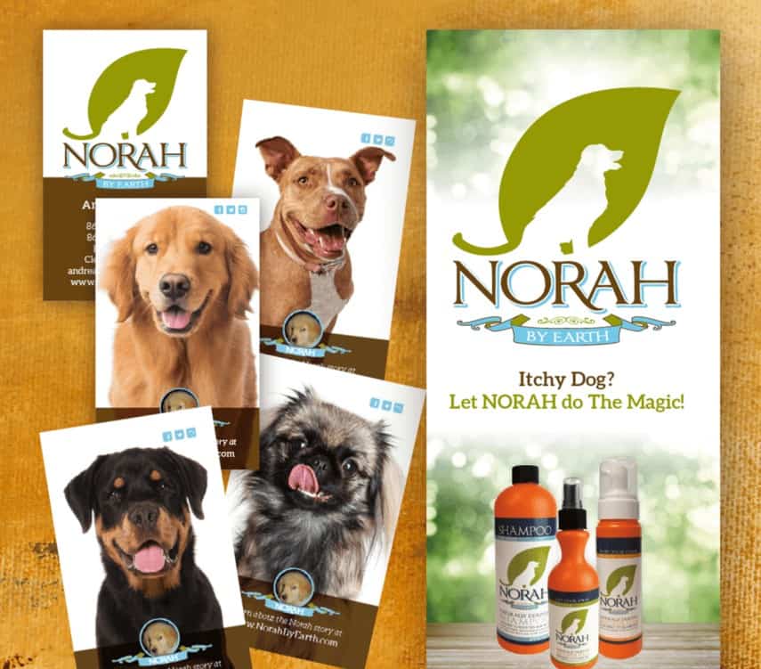 Norah | Branding Packages | Mmp Longwood