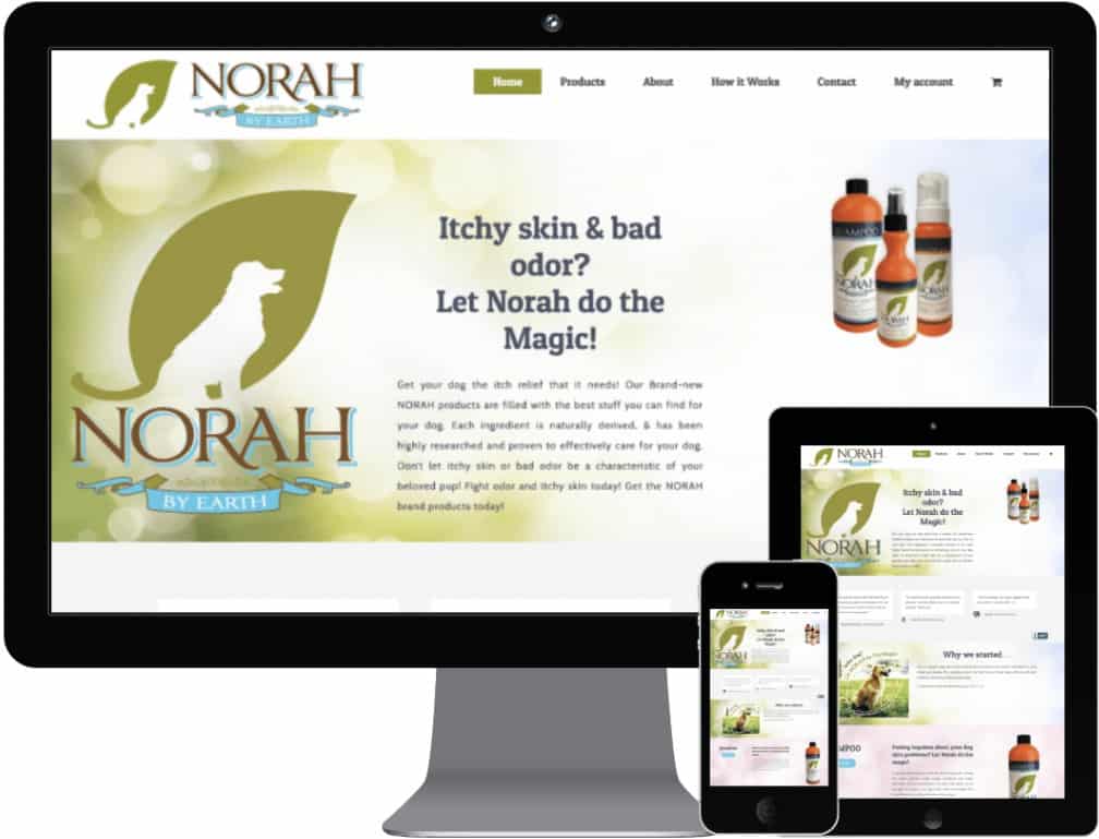 Norah By Earth Website Design | Mmp Longwood