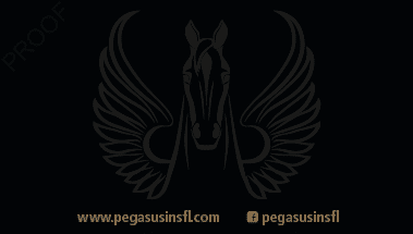 | Pegasus Is An Insurance Company For Auto, Home, Business, And Mobile Homes In Longwood, Florida.