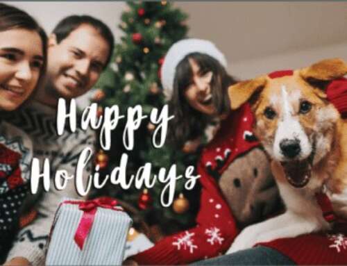 Spread the Love this Holiday Season with Custom Holiday Cards