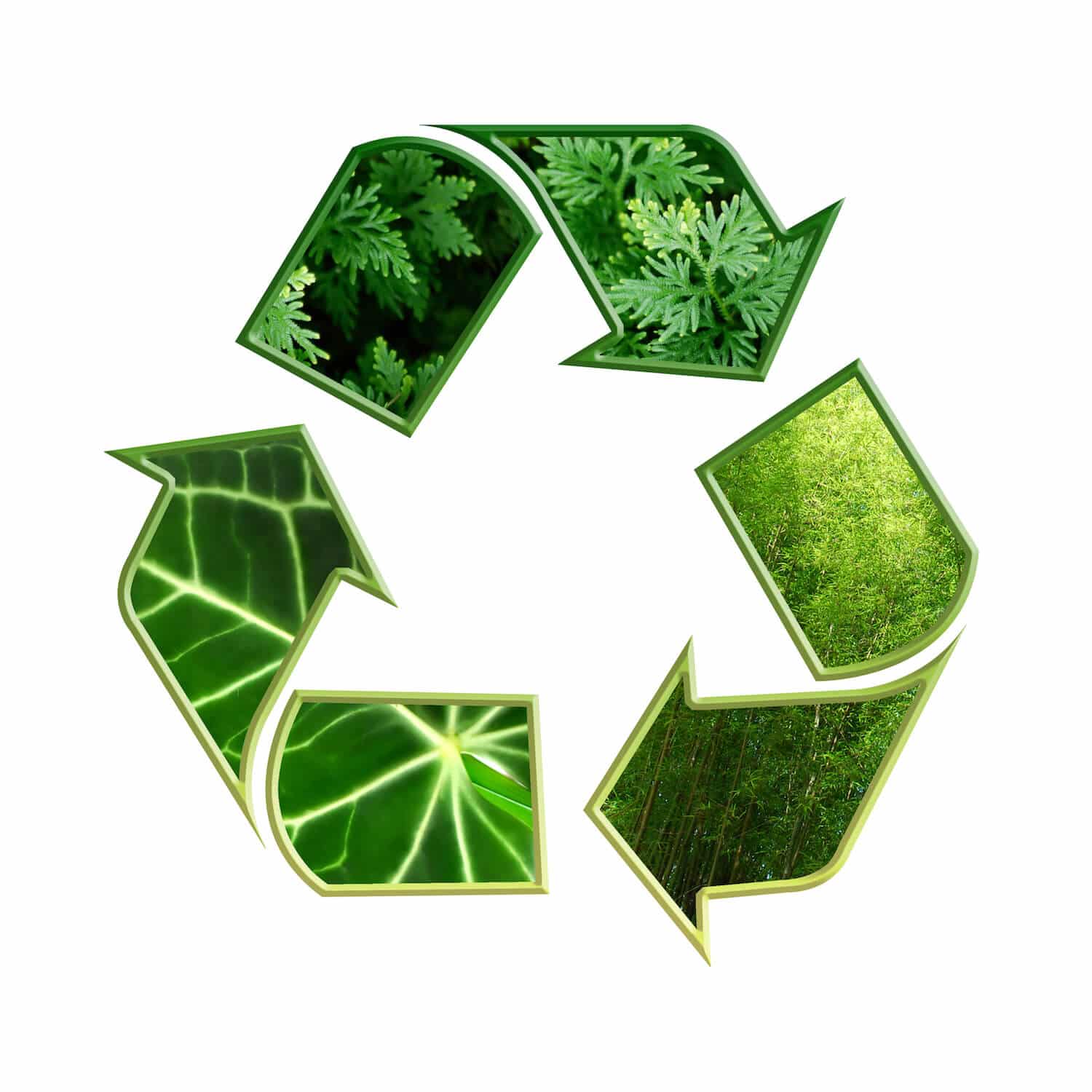| Looking For An Environmentally Friendly Printer In Central Florida? Minuteman Press Longwood Provides Quality Work While Using The Best Eco-Friendly Products Possible!